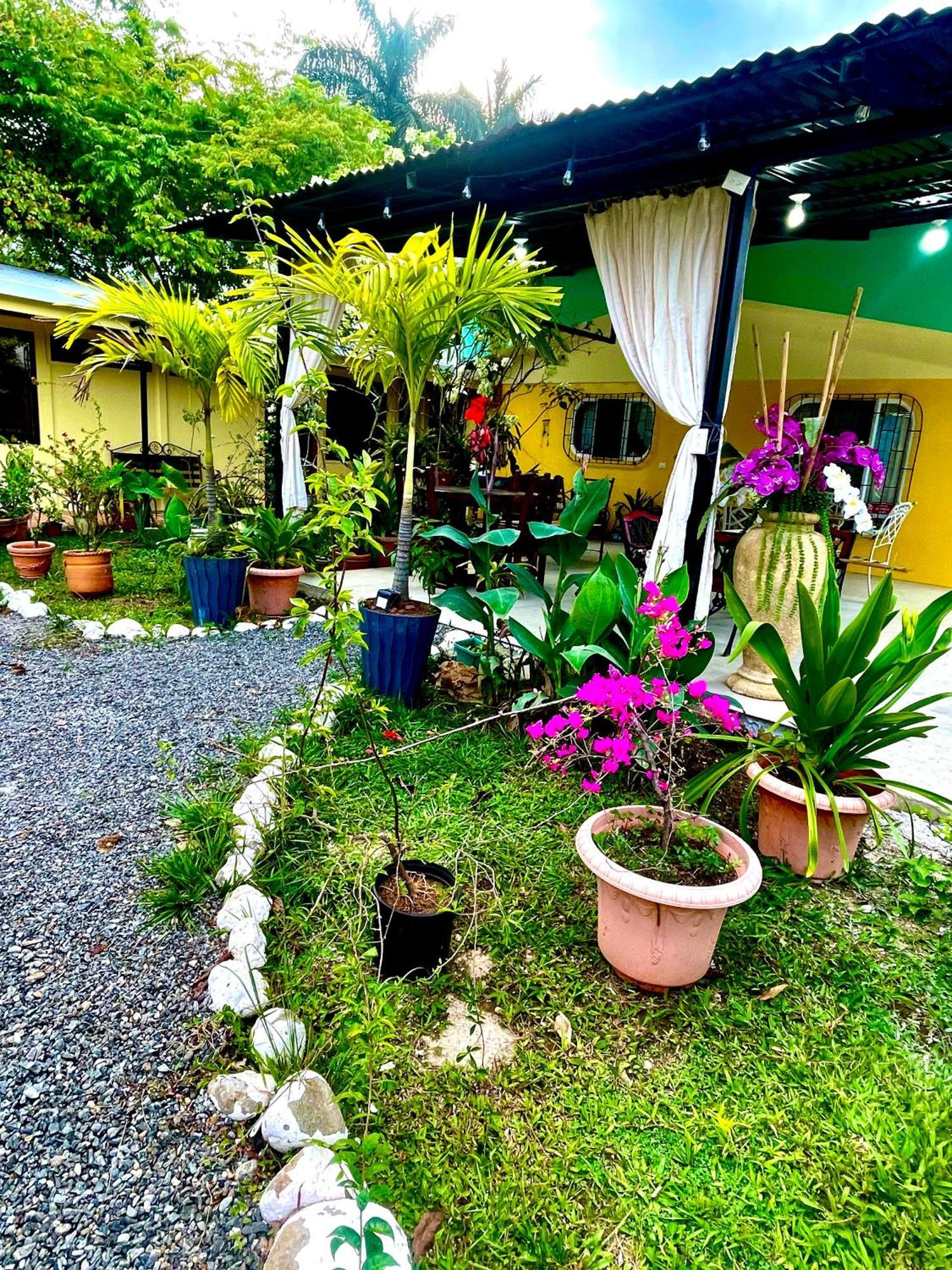 Hotel Tierra De Volcanes La Fortuna Exterior foto